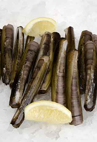 Cañaillas