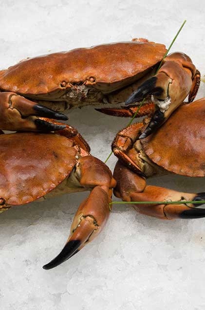 Mariscos Rodu El Tiburón